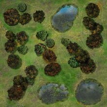 Load image into Gallery viewer, Forest & Swamp Overlay Kits (for 28mm miniatures)