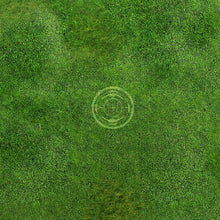 Charger l'image dans la galerie, Prairie 2 avec zones de déploiement (60x44 pouces, 153x112 cm)