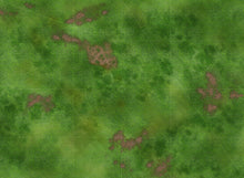 Charger l'image dans la galerie, Prairie avec zones de déploiement (60x44 pouces, 153x112 cm)