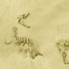 Load image into Gallery viewer, Kit Compatible Rois des Sables 183x122cm (72x48 inches) + side bars