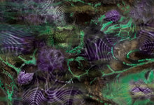 Load image into Gallery viewer, Insectoids 44x30 inches (112x76cm)