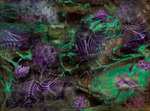 Charger l'image dans la galerie, Insectoïds avec zones de déploiement 60x44 pouces (153x112cm)