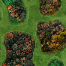 Charger l'image dans la galerie, KIT DÉCORS OVERLAYS FORÊTS : format 61x61 cm