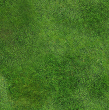 Load image into Gallery viewer, Meadow 2 (2x2 feet)