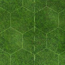 Load image into Gallery viewer, Meadow 2 (3x4 feet)