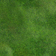 Load image into Gallery viewer, Meadow 2 (3x4 feet)