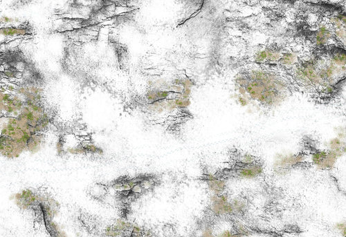 Winter Land (44x30 pouces, 112x76 cm)