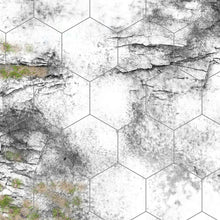 Load image into Gallery viewer, Winter Land (6x4 feet)