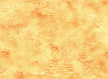 Charger l&#39;image dans la galerie, Désert 2 avec zones de déploiement (60x44 pouces, 153x112 cm)