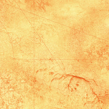 Charger l&#39;image dans la galerie, Désert 2 avec zones de déploiement (60x44 pouces, 153x112 cm)
