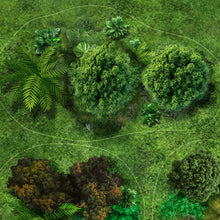 Charger l&#39;image dans la galerie, Kit Overlays Forêts Lost City (pour figurines 28mm)