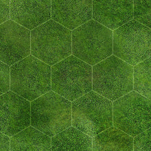 Charger l&#39;image dans la galerie, Prairie 2 avec hexagones,  6x4 feet (183x122cm)