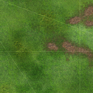 Prairie avec zones de déploiement (60x44 pouces, 153x112 cm)