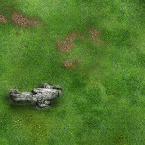 Prairie Rocheuse 150x80cm
