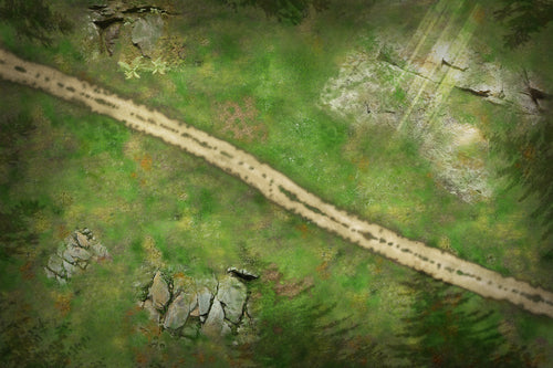 Elven Forest 183x122cm (72x48 pouces)