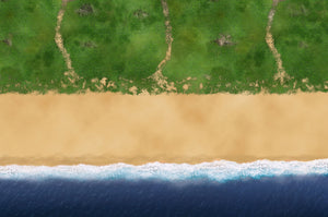 Plage du Débarquement (6x4 feet)