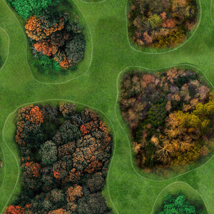 KIT DÉCORS OVERLAYS FORÊTS : format 91x91 cm