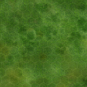Prairie 2 (2x2 feet)