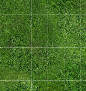 Prairie 2 (2x2 feet)