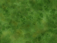 Prairie 2 (3x4 feet)