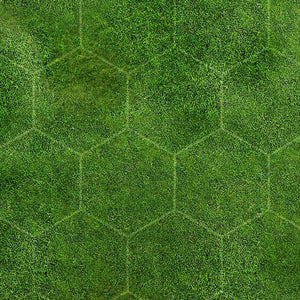 Prairie 2 (3x4 feet)