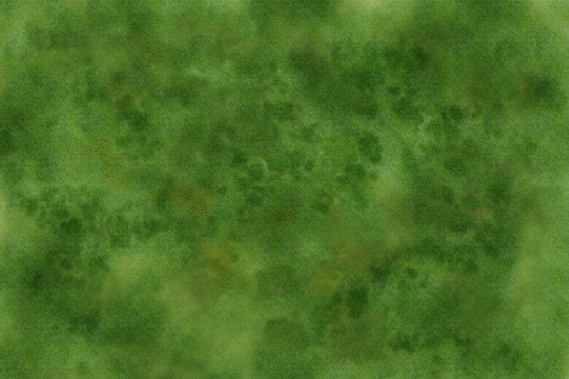 Prairie 2 (6x4 feet)