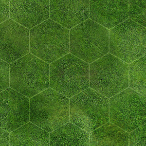 Prairie 2 (6x4 feet)