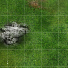 Charger l&#39;image dans la galerie, Prairie rocheuse (3x4 feet)